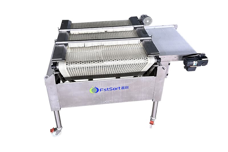 blueberry-sorting-equipment